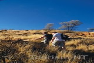 Euro Ridge Larapinta Trail-NT ASP Euro Ridge Larapinta 3.jpg